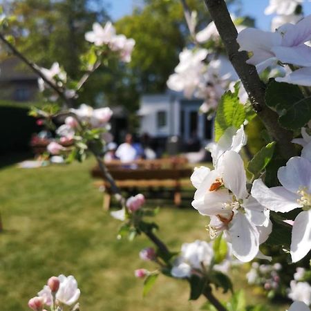 B&B De Koffietuin Beekbergen Kültér fotó