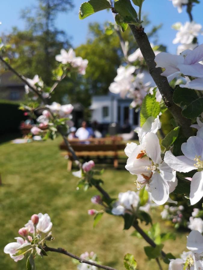 B&B De Koffietuin Beekbergen Kültér fotó