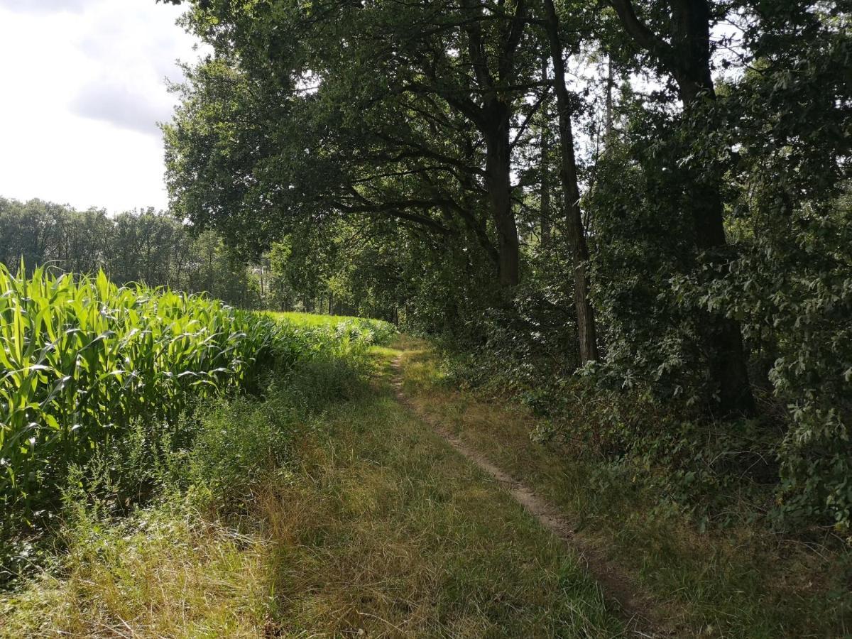 B&B De Koffietuin Beekbergen Kültér fotó